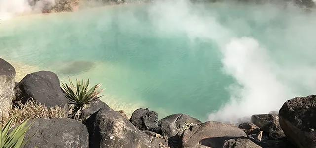 その土地にしかないモノをアピールする