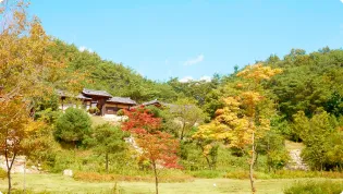 地域の「本当の魅力」をどう映像化して、他と差別化すべきか難しい
