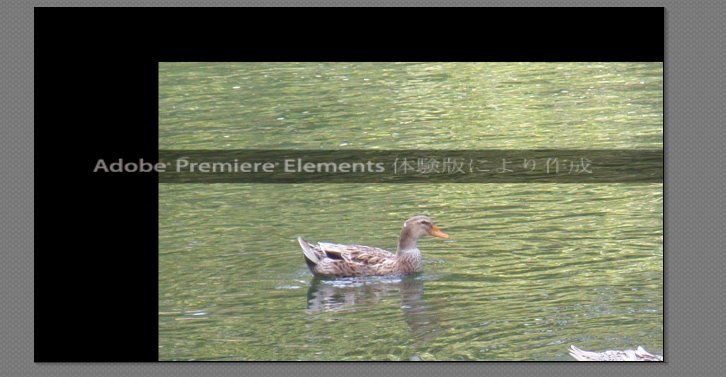 Premiere-Elements-11_10_7.jpg