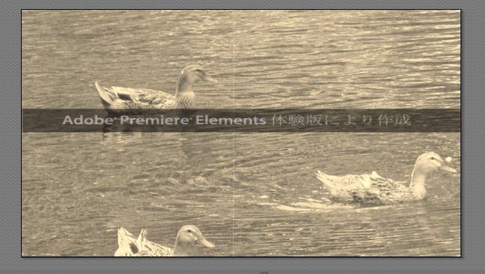 Premiere-Elements-11_11_5.jpg
