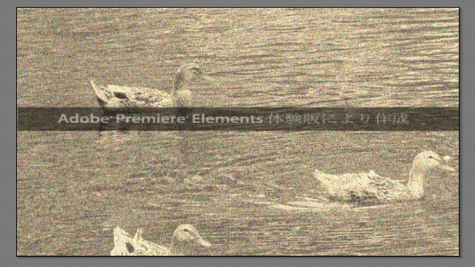 Premiere-Elements-11_11_6.jpg