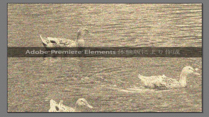 Premiere-Elements-11_11_6.jpg