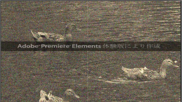 Premiere-Elements-11_12_6.jpg