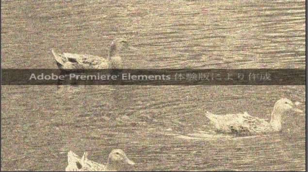 Premiere-Elements-11_12_7.jpg