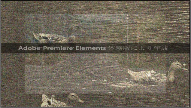 Premiere-Elements-11_13_7.jpg