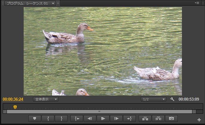 Premiere-Pro-CS6_10_4.jpg