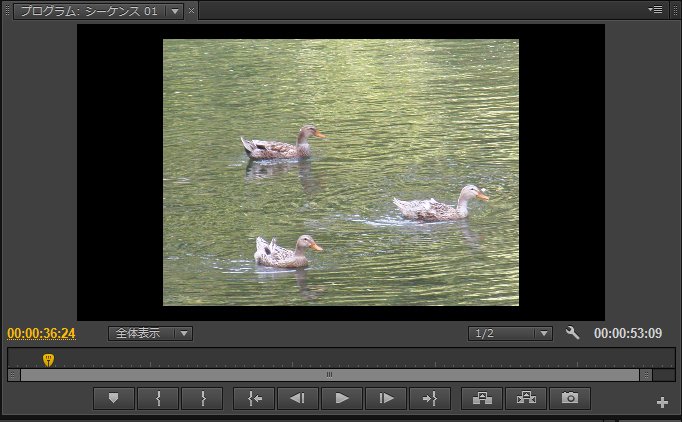 Premiere-Pro-CS6_10_6.jpg