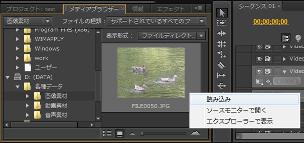 Premiere-Pro-CS6_5_5.jpg