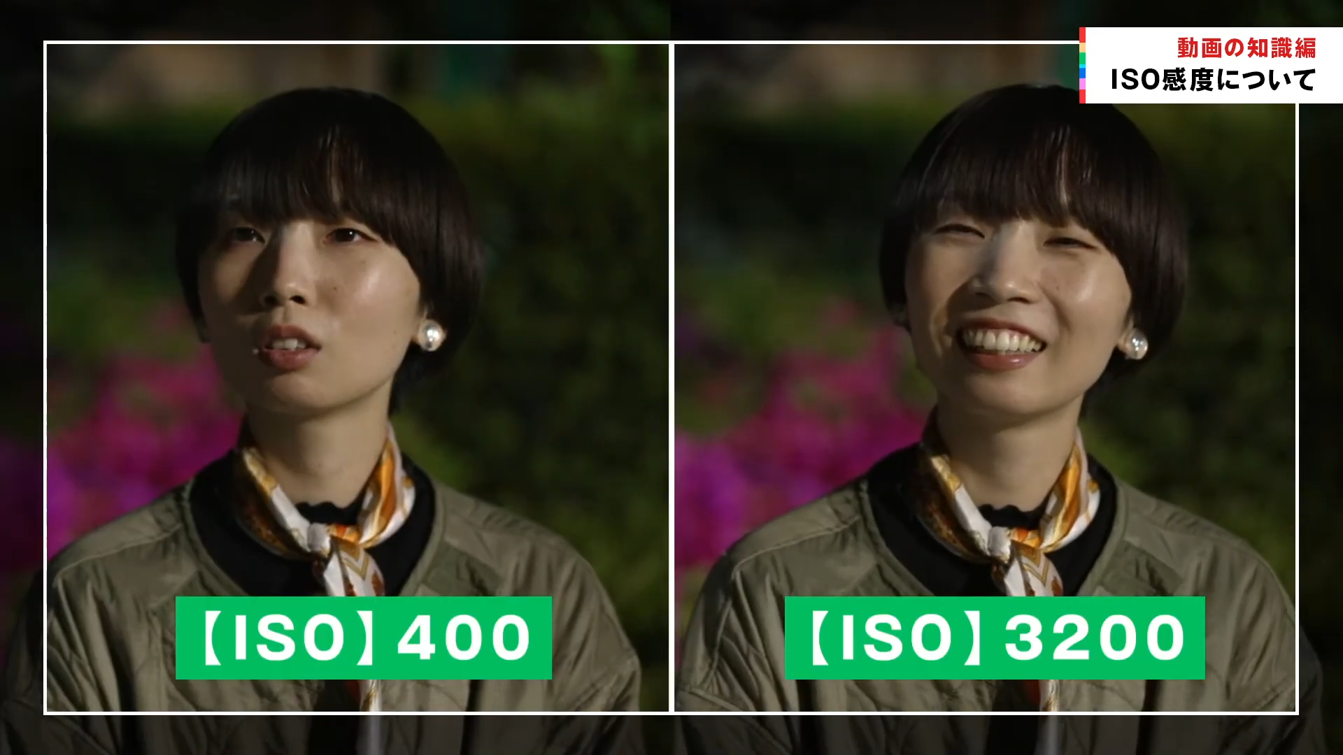 ISO感度とは？意味や画質の変化をわかりやすく解説【動画撮影初心者】