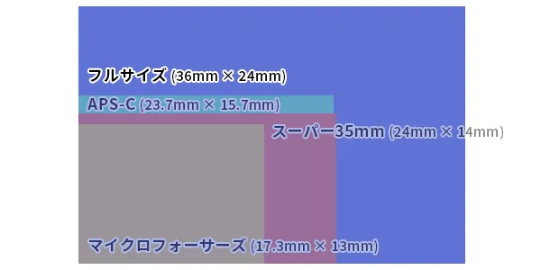 フルサイズ