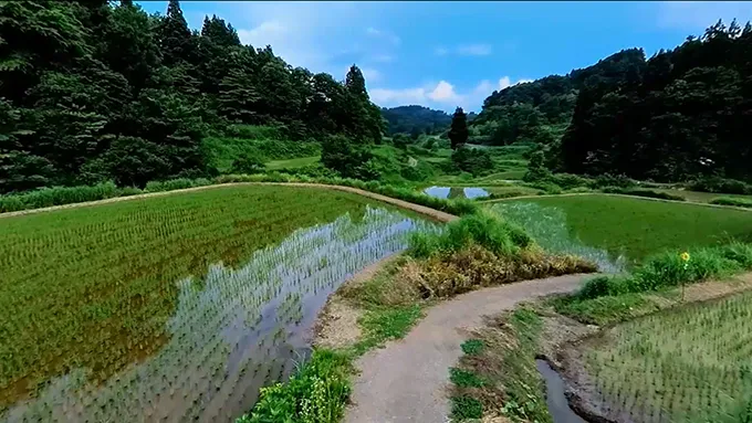 c024_videothumb04.webp